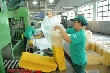 Giá cao su Tocom hồi phục nhờ chứng khoán và giá dầu tăng